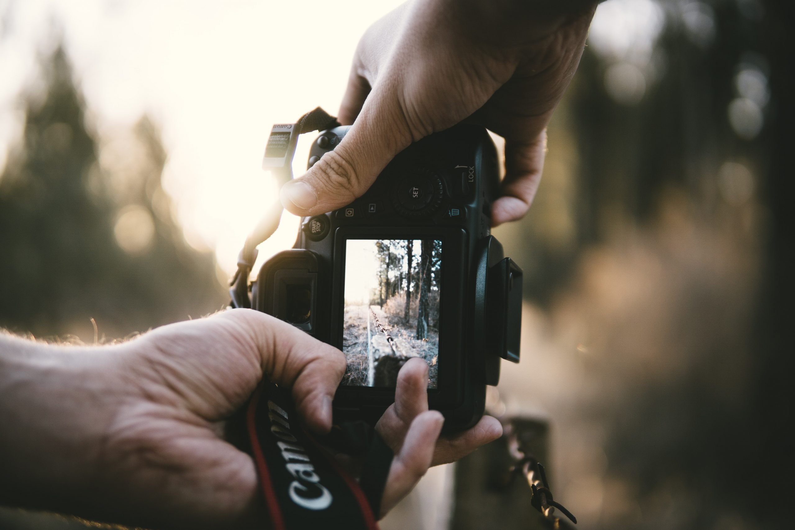 frame lens on crop sensor camera frame lens on crop sensor camera