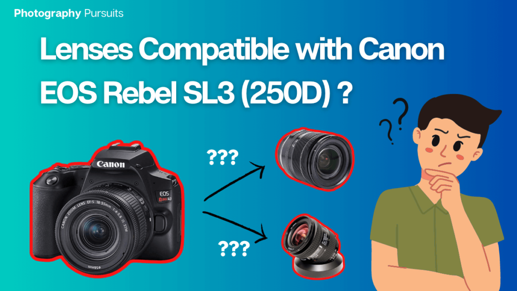 lenses compatible with Canon EOS Rebel SLE 250D Featured Image